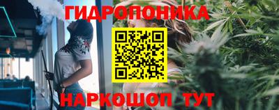 ECSTASY Донецк