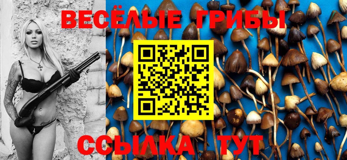 Галлюциногенные грибы MAGIC MUSHROOMS Люберцы