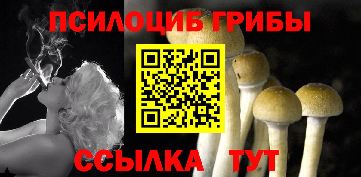 Псилоцибиновые грибы Psilocybe  Вход с VPN  Люберцы 